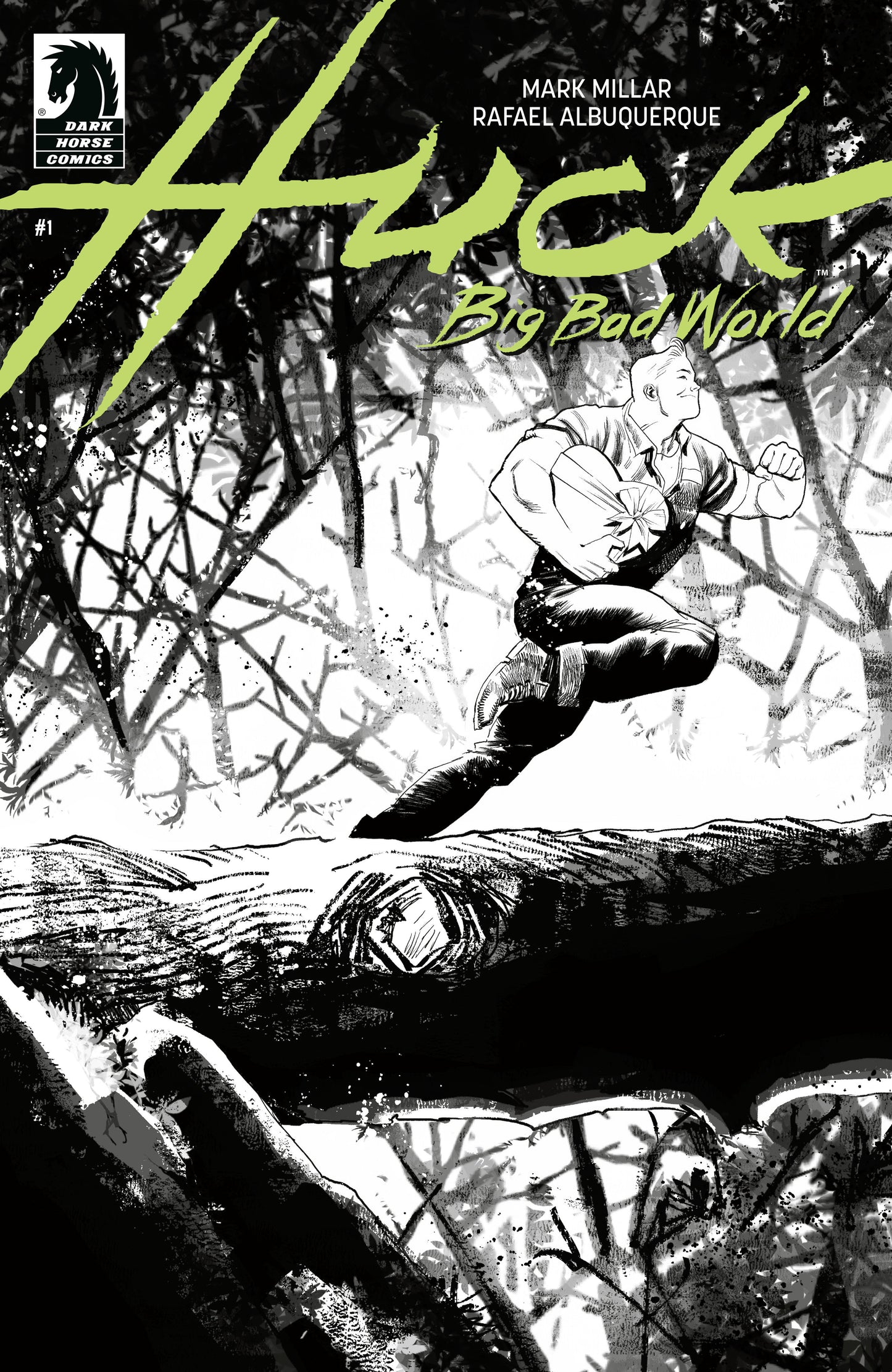 Huck: Big Bad World #1 (Cover B) (Black & White) (Rafael Albuquerque)